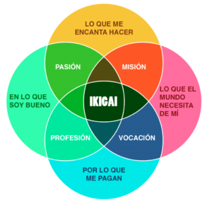IKIGAI RC4 IKIGAI RC4