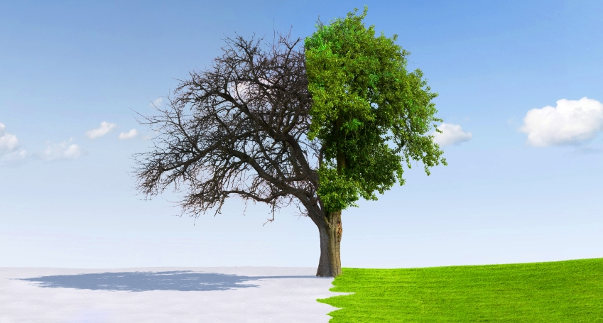 Change of seasons from winter to summer Change of seasons from winter to summer